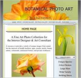 Botanical Photo Art