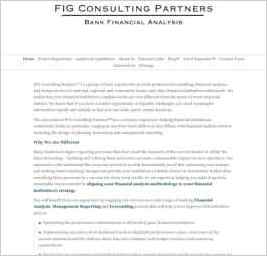 FIG Consulting Partners