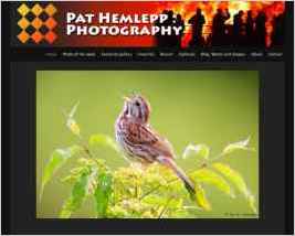 Pat Hemlepp : Photography