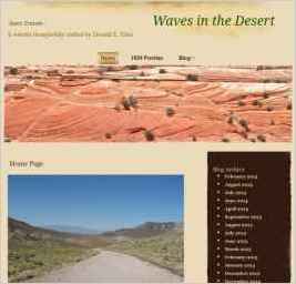 Don's Travels - Waves in the Desert