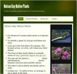 Nelson Bay Native Plants