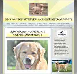 Jema Golden Retrievers & Cavalier King Charles Spaniels