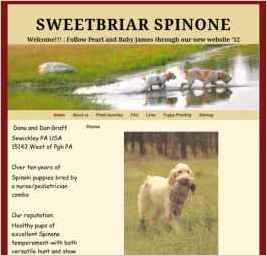 Sweetbriar Spinone