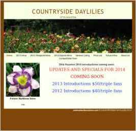 Countryside Daylilies