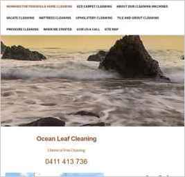 Ocean Leaf Cleaning