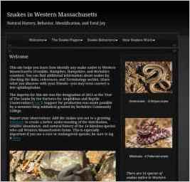 Snakes in Western Massachusetts