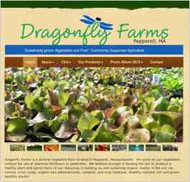 Dragonfly Farms