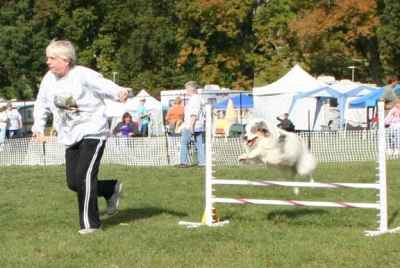 Suzie & I love agility!