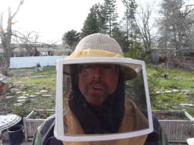 With the bees