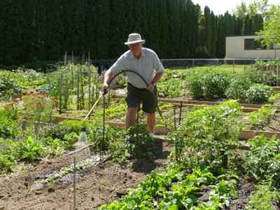 Dave in his community garden